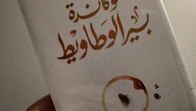 تحميل رواية لوكاندة بير الوطاويط أحمد مراد pdf