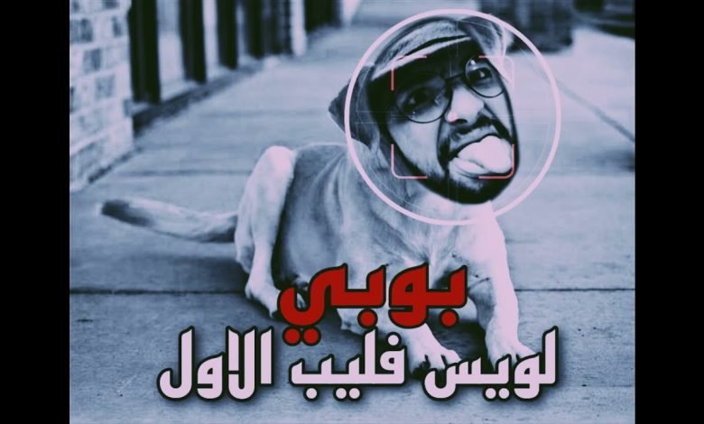 كلمات اغنية بوبي ماكافيلي 2021
