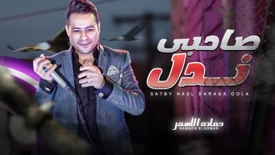 Sa7eb Nadl