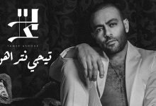 Tegy Netrahin