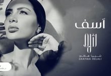 كلمات اغنية أسف شيما هلالي 2021