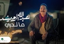 Madar