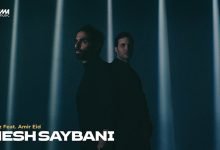 Mesh Saybani