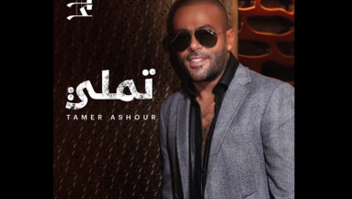 كلمات اغنية تملي تامر عاشور
