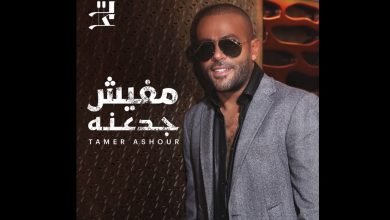 كلمات اغنية مفيش جدعنه تامر عاشور