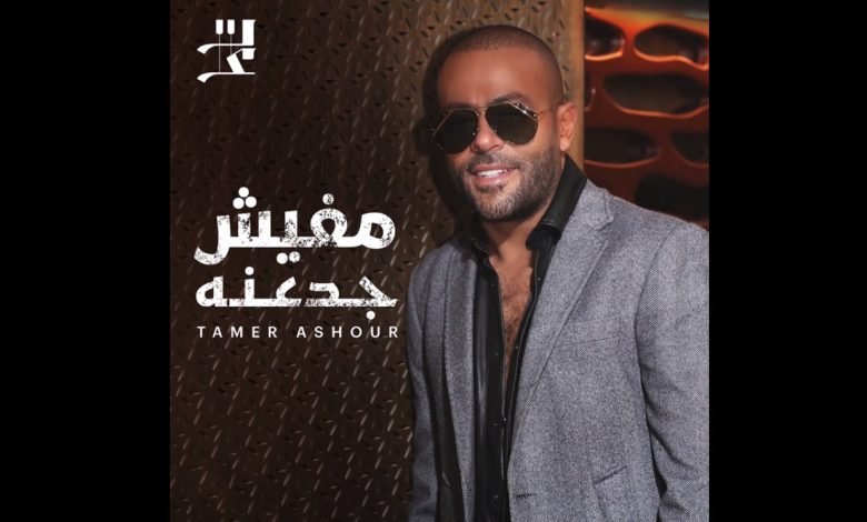 كلمات اغنية مفيش جدعنه تامر عاشور
