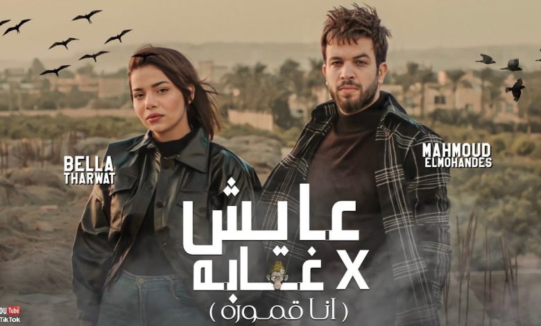 كلمات مهرجان عايش في غابه انا قموره براند وملكه مشهوره محمود المهندس و بيلا ثروت 2022
