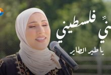 كلمات اغنية يا طير الطاير نداء شرارة 2022