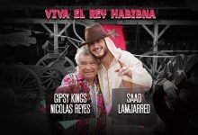 Viva Elrey