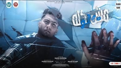 كلمات مهرجان مش كلو حلو حمو الطيخا 2022