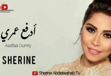 كلمات اغنية ادفع عمري شيرين 2022