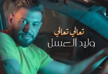 كلمات اغنية تعالي تعالي وليد العسل