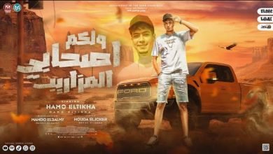 كلمات مهرجان ولكم اصحابى المزاريب حمو الطيخا
