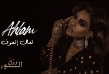 كلمات اغنية تعال نعوف احلام