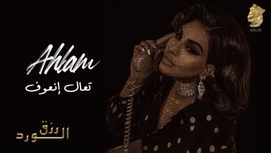 كلمات اغنية تعال نعوف احلام