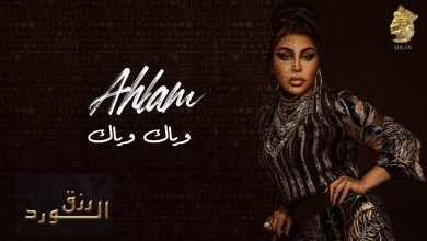 كلمات اغنية وياك وياك احلام