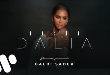 كلمات اغنية قلبي صادق داليا