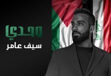 كلمات اغنية وحدي سيف عامر