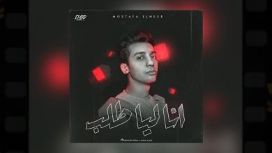 كلمات اغنية أنا ليا طلب مصطفي النسر