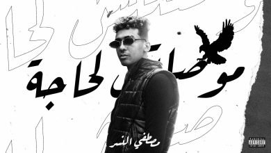 كلمات اغنية موصلتش لحاجة مصطفي النسر