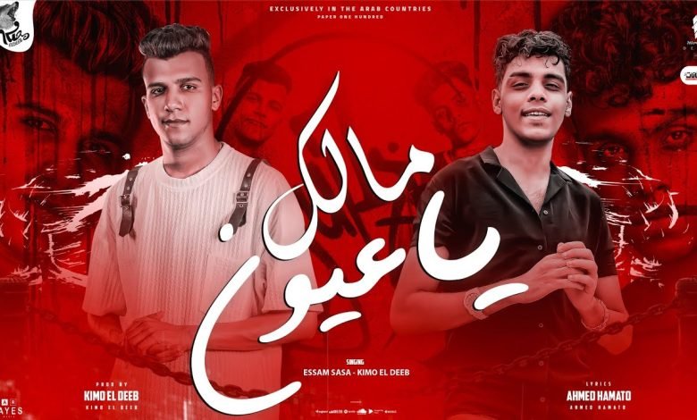 كلمات مهرجان مالك يا عيون ليه بتبكي عصام صاصا