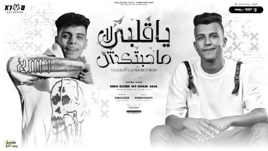 كلمات مهرجان يا قلبي لا محبتكش عصام صاصا و كيمو الديب