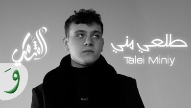 كلمات اغنية طلعي مني الشامي
