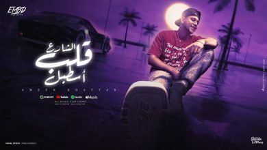 كلمات مهرجان الشارع قلب اسطبل امين خطاب