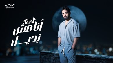 كلمات اغنية أنا مش بديل فريد