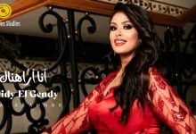 كلمات اغنية أنا أراهناك هايدي الجندي