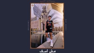 كلمات اغنية مش اسف مكاوي 2024