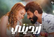 كلمات اغنية زيديني اسماعيل تمر
