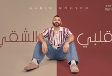 كلمات اغنية قلبي الشقي كريم محسن