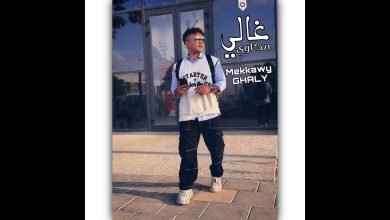 كلمات اغنية غالي مكاوي