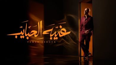 كلمات اغنية غيبه الحبايب تامر عاشور