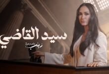 كلمات اغنية سيد القاضي