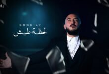 كلمات اغنية لحظة طيش محمود العسيلي