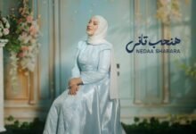 كلمات اغنية هنحب تاني نداء شرارة