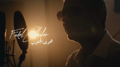 كلمات اغنية هوى الجنوب فضل شاكر
