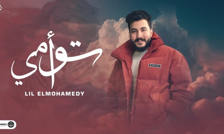 كلمات اغنية توأمي ليل المحمدي
