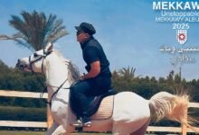كلمات اغنية حبيبي وياك مكاوي