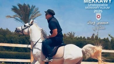 كلمات اغنية حبيبي وياك مكاوي