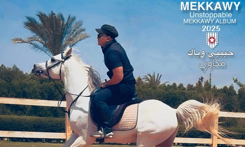 كلمات اغنية حبيبي وياك مكاوي