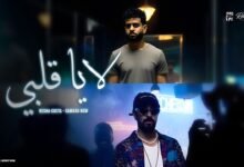 كلمات اغنية لا يا قلبي