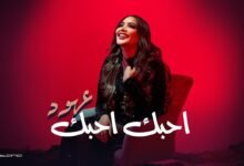 كلمات اغنية احبك احبك