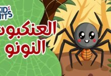 كلمات اغنية العنكبوت النونو