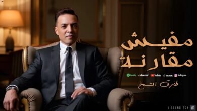 كلمات اغنية مفيش مقارنة طارق الشيخ