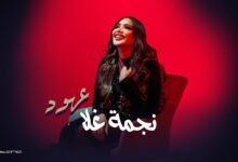 كلمات اغنية نجمه غلا