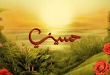 كلمات اغنية حسيني تووليت 2025