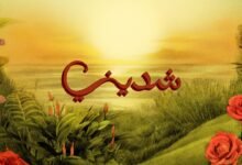 كلمات اغنية شديني تووليت 2025